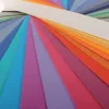 Papier dessin canson feuille mi-teintes n 111 grain gelatine haute teneur coton 160g 50x65cm unicolore ivoire