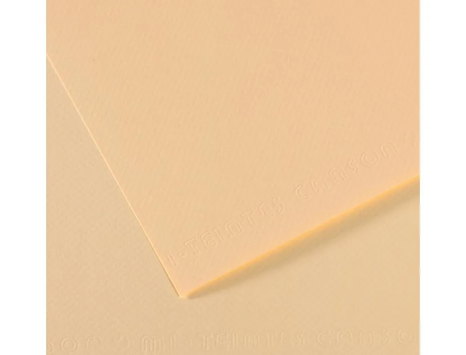 Papier dessin canson feuille mi-teintes n 111 grain gelatine haute teneur coton 160g 50x65cm unicolore ivoire