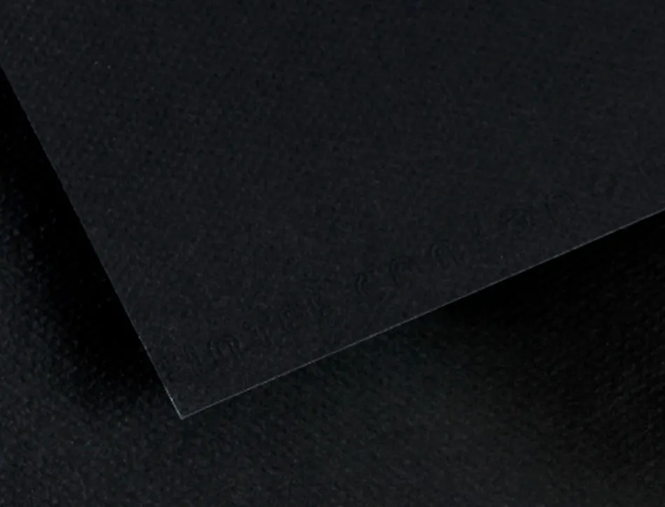 Papier dessin canson feuille mi-teintes n 425 grain gelatine haute teneur coton 160g a4 coloris noir