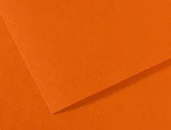Papier dessin canson feuille mi-teintes n 502 grain gelatine haute teneur coton 160g 50x65cm unicolore havane