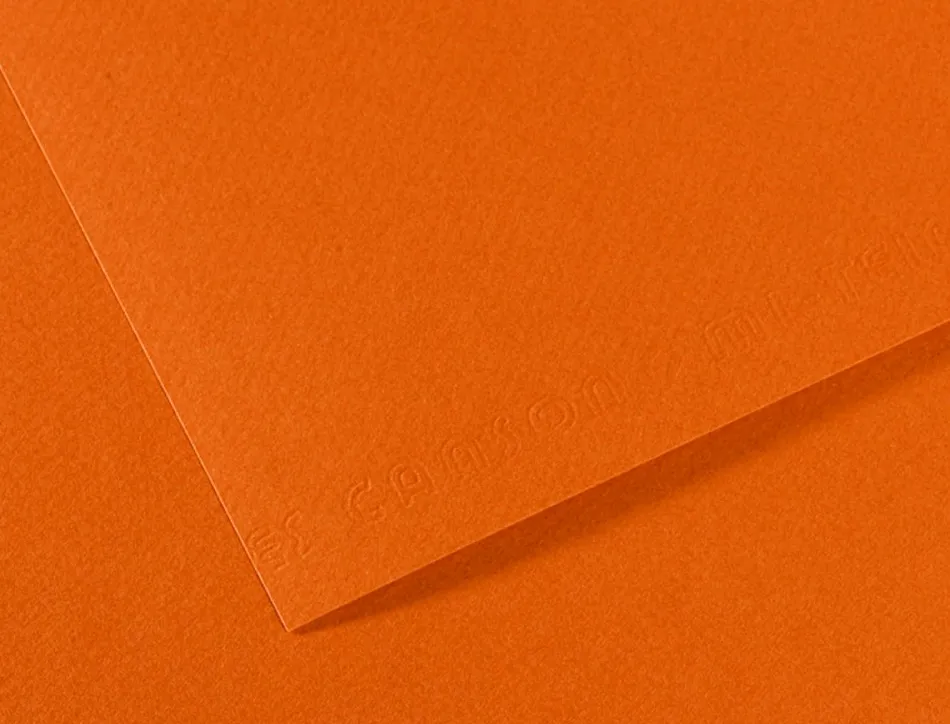 Papier dessin canson feuille mi-teintes n 502 grain gelatine haute teneur coton 160g 50x65cm unicolore havane