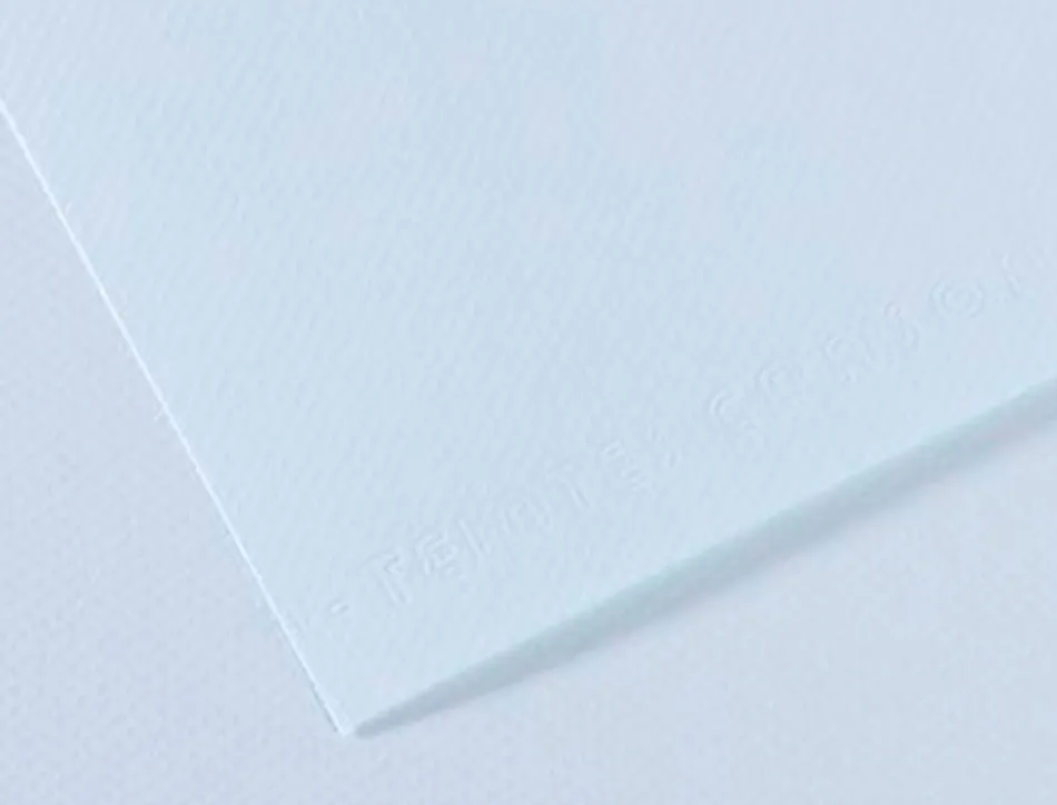 Papier dessin canson feuille mi-teintes n 102 grain gelatine haute teneur coton 160g 50x65cm unicolore azur