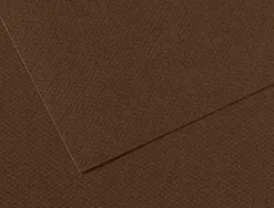 Papier dessin canson feuille mi-teintes n 501 grain gelatine haute teneur coton 160g 50x65cm unicolore marron