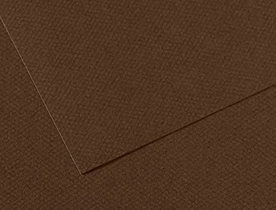 Papier dessin canson feuille mi-teintes n 501 grain gelatine haute teneur coton 160g 50x65cm unicolore marron