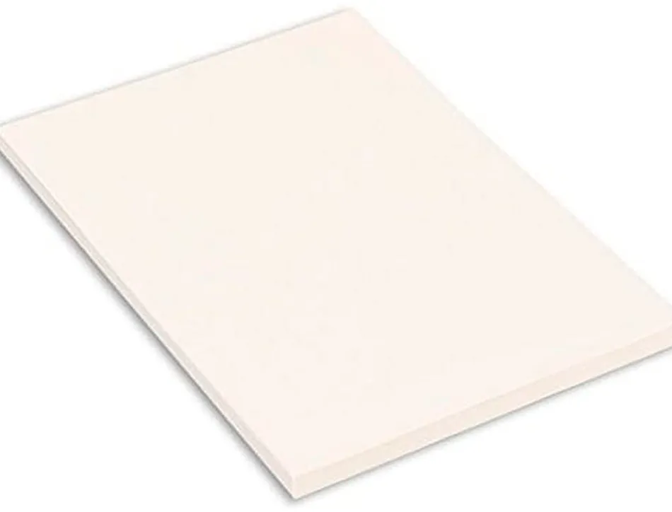 Papier dessin canson feuille mi-teintes n 335 grain gelatine haute teneur coton 160g 50x65cm unicolore blanc