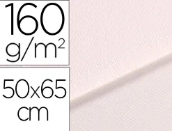 Papier dessin canson feuille mi-teintes n 335 grain gelatine haute teneur coton 160g 50x65cm unicolore blanc