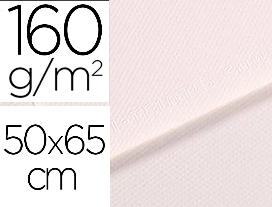 Papier dessin canson feuille mi-teintes n 335 grain gelatine haute teneur coton 160g 50x65cm unicolore blanc