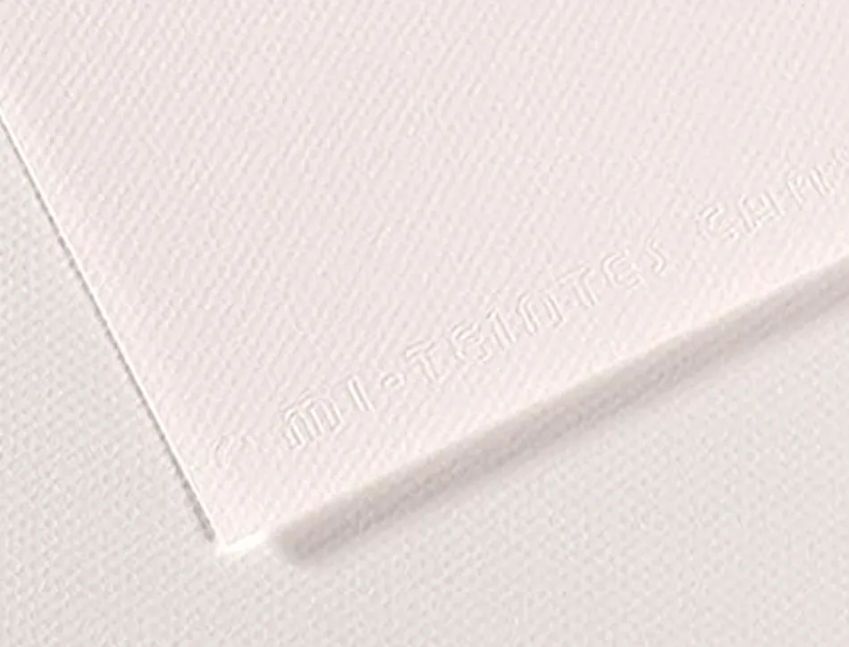 Papier dessin canson feuille mi-teintes n 335 grain gelatine haute teneur coton 160g 50x65cm unicolore blanc