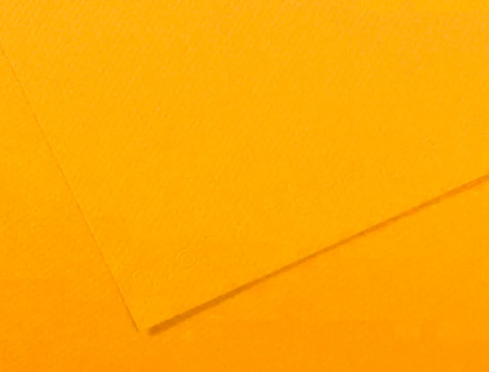 Papier dessin canson feuille mi-teintes n 400 grain gelatine haute teneur coton 160g 50x x65cm unicolore bouton or