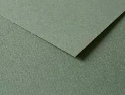 Papier dessin clairefontaine a grain 160g 1 surface grainee 1 lisse 50x65cm paquet 25f coloris vert ocean