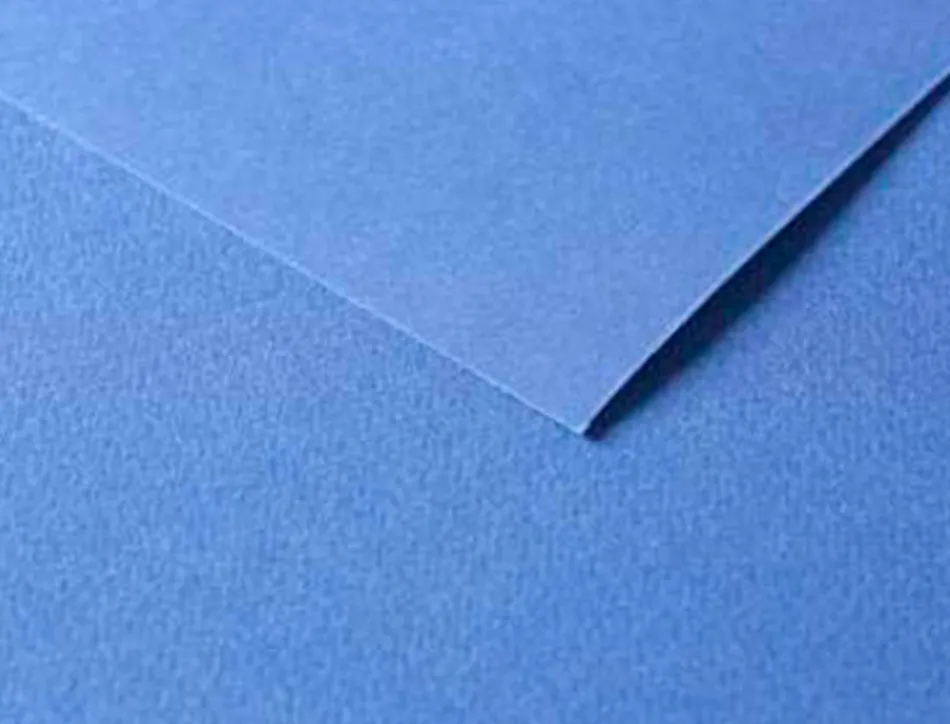 Papier dessin clairefontaine a grain 160g 1 surface grainee 1 lisse 50x65cm paquet 25f coloris bleu marine