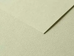 Papier dessin clairefontaine a grain 160g 1 surface grainee 1 lisse 50x65cm paquet 25f coloris vert
