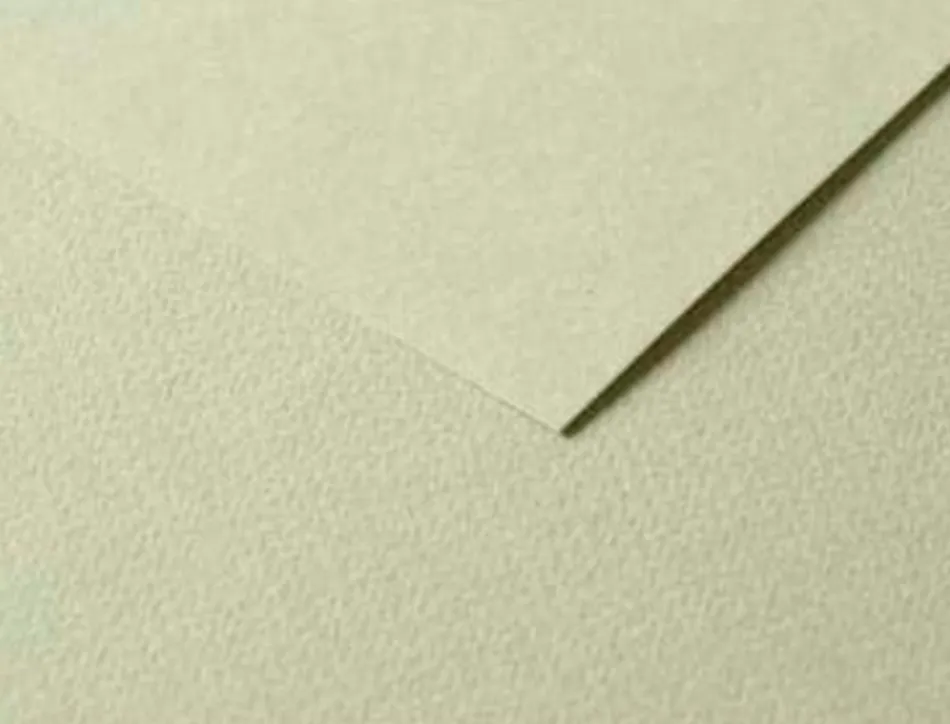 Papier dessin clairefontaine a grain 160g 1 surface grainee 1 lisse 50x65cm paquet 25f coloris vert