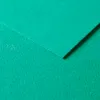 Papier dessin clairefontaine a grain 160g 1 surface grainee 1 lisse 50x65cm paquet 25f coloris vert fonce
