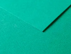 Papier dessin clairefontaine a grain 160g 1 surface grainee 1 lisse 50x65cm paquet 25f coloris vert fonce