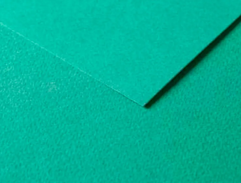Papier dessin clairefontaine a grain 160g 1 surface grainee 1 lisse 50x65cm paquet 25f coloris vert fonce