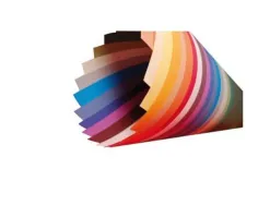 Papier dessin clairefontaine tulipe 50x65cm 160g coloris noir 25 feuilles