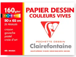 Papier dessin clairefontaine a grain 160g 1 surface grainee 1 lisse 50x65cm paquet 24f coloris vifs 24