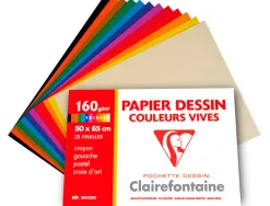 Papier dessin clairefontaine a grain 160g 1 surface grainee 1 lisse 50x65cm paquet 24f coloris vifs 24
