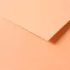 Papier dessin clairefontaine a grain 160g 1 surface grainee 1 lisse 50x65cm paquet 25f coloris saumon