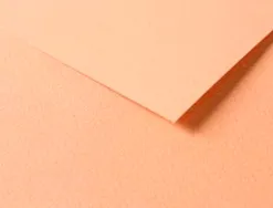 Papier dessin clairefontaine a grain 160g 1 surface grainee 1 lisse 50x65cm paquet 25f coloris saumon