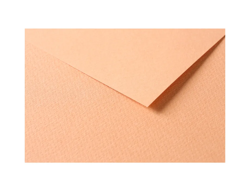 Papier dessin clairefontaine a grain 160g 1 surface grainee 1 lisse 50x65cm paquet 25f coloris saumon