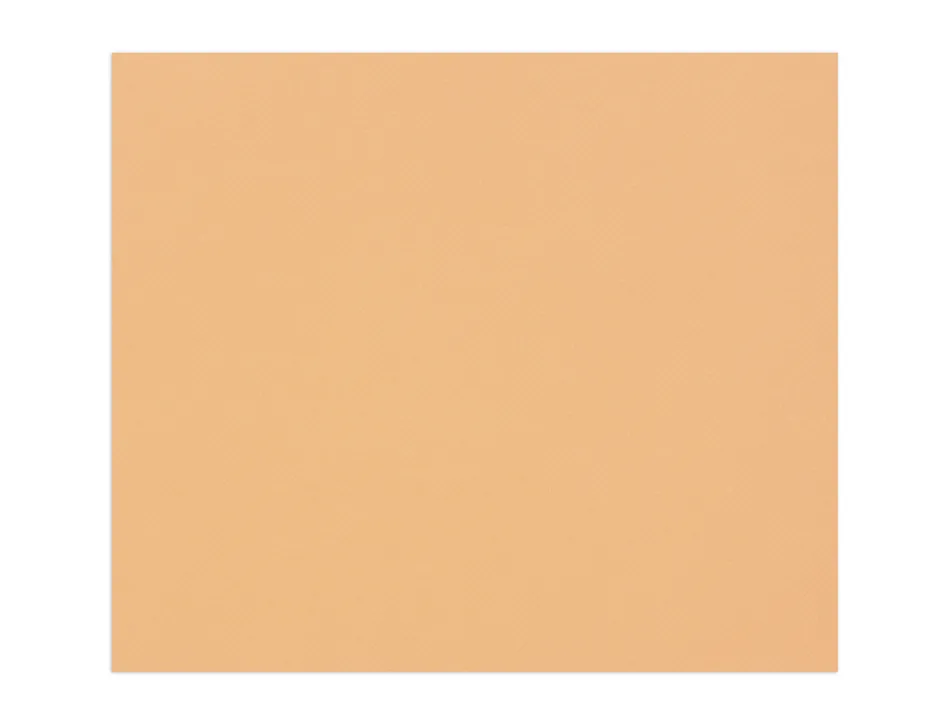 Papier dessin clairefontaine a grain 160g 1 surface grainee 1 lisse 50x65cm paquet 25f coloris saumon