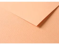 Papier dessin clairefontaine a grain 160g 1 surface grainee 1 lisse 50x65cm paquet 25f coloris saumon