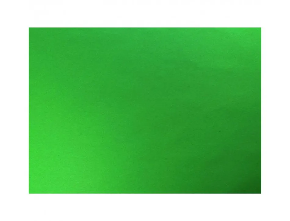 Papier dessin clairefontaine cartoline 50x65cm 270g coloris vert paquet 25 feuilles