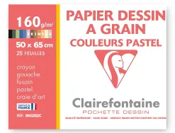 Papier dessin clairefontaine a grain 160g 1 surface grainee 1 lisse 50x65cm paquet 24f coloris pastel 24