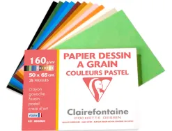 Papier dessin clairefontaine a grain 160g 1 surface grainee 1 lisse 50x65cm paquet 24f coloris pastel 24
