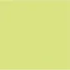Papier dessin clairefontaine cartoline 50x65cm 120g coloris vert clair paquet 25 feuilles