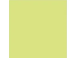 Papier dessin clairefontaine cartoline 50x65cm 120g coloris vert clair paquet 25 feuilles