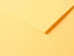 Papier dessin clairefontaine a grain 160g 1 surface grainee 1 lisse 50x65cm paquet 25f coloris bouton