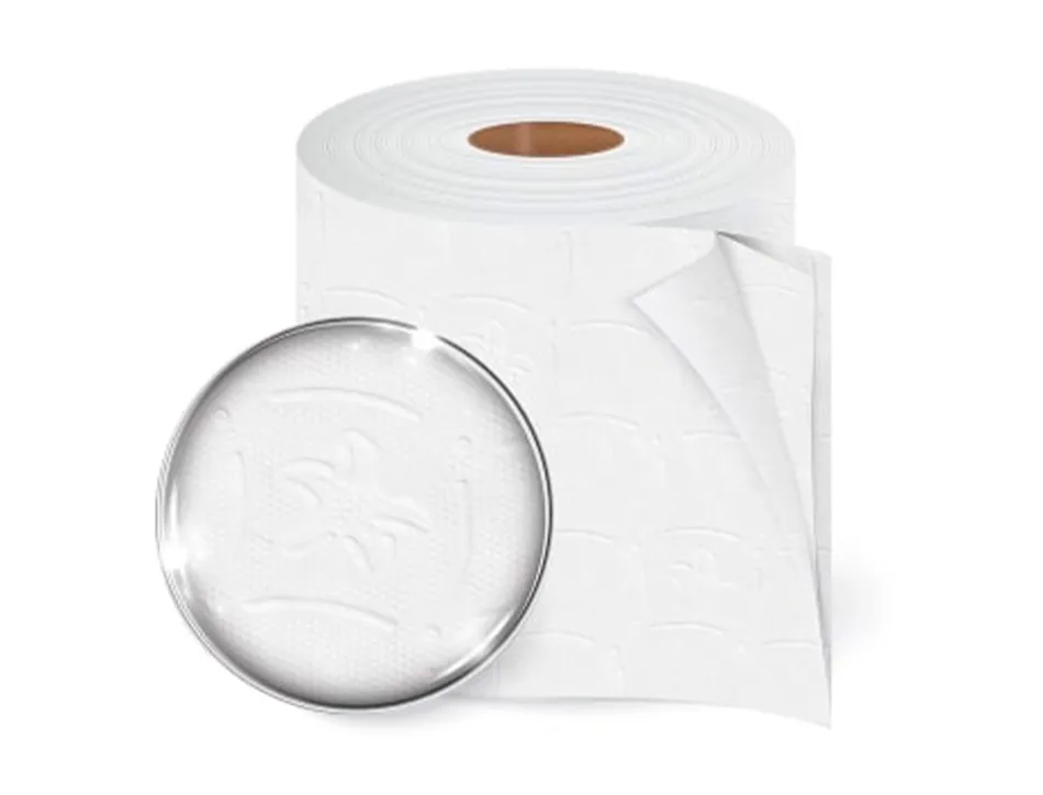 Papier hygienique amoos domestique 2 plis 20m paquet de 12 rouleaux
