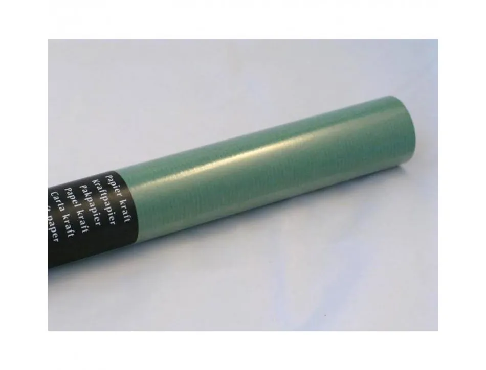 Papier kraft clairefontaine coloris vert rouleau 0,70x3m