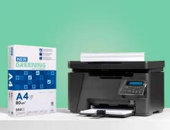 Papier multifonctio n greening a4 80g haute qualité pefc blancheur 146 opacité 92 rigidité 112 500f .