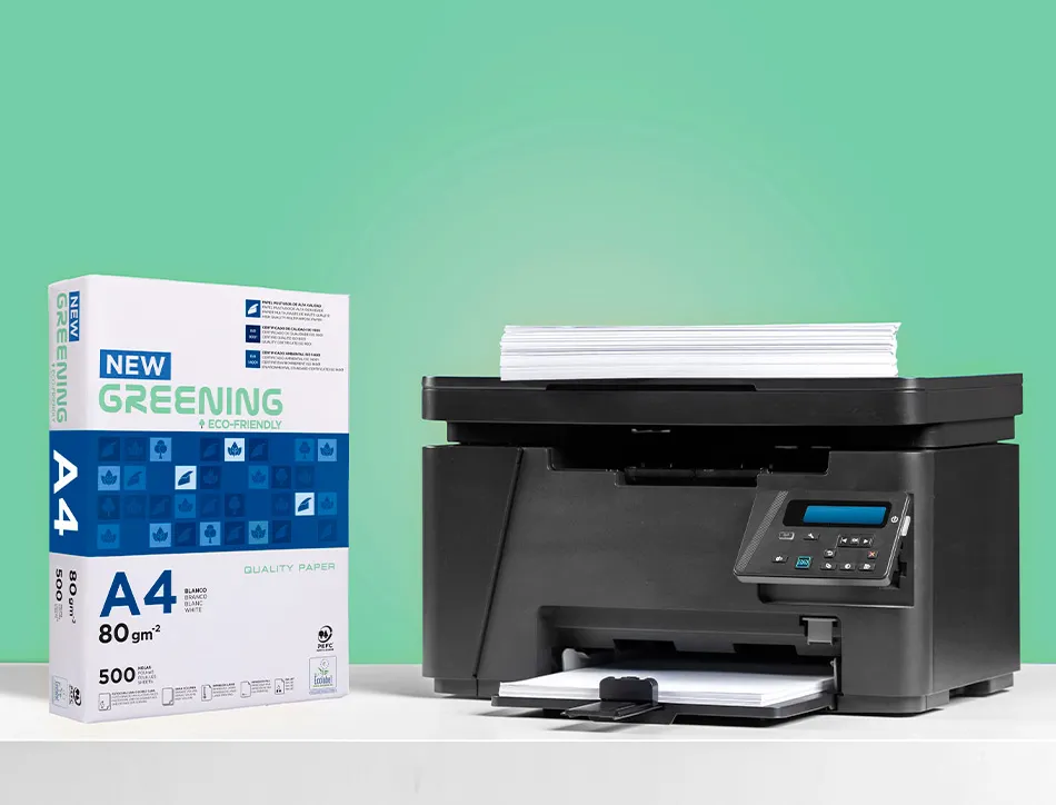 Papier multifonctio n greening a4 80g haute qualité pefc blancheur 146 opacité 92 rigidité 112 500f .