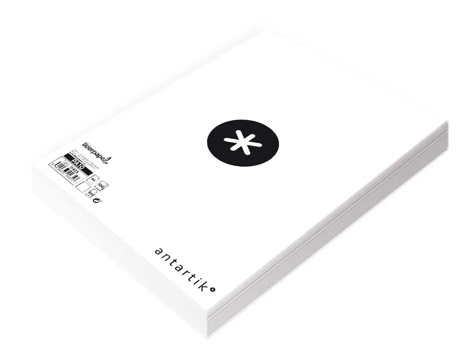 Papier multifonction antartik a4 100 g/m2 haute qualite blancheur 169 opacite 95 100 feuilles