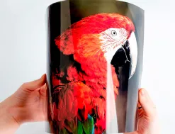 Papier photo q-connect jet d'encre glacé ultra brillant a4 260g compatible toute imprima nte paquet 50 feuilles