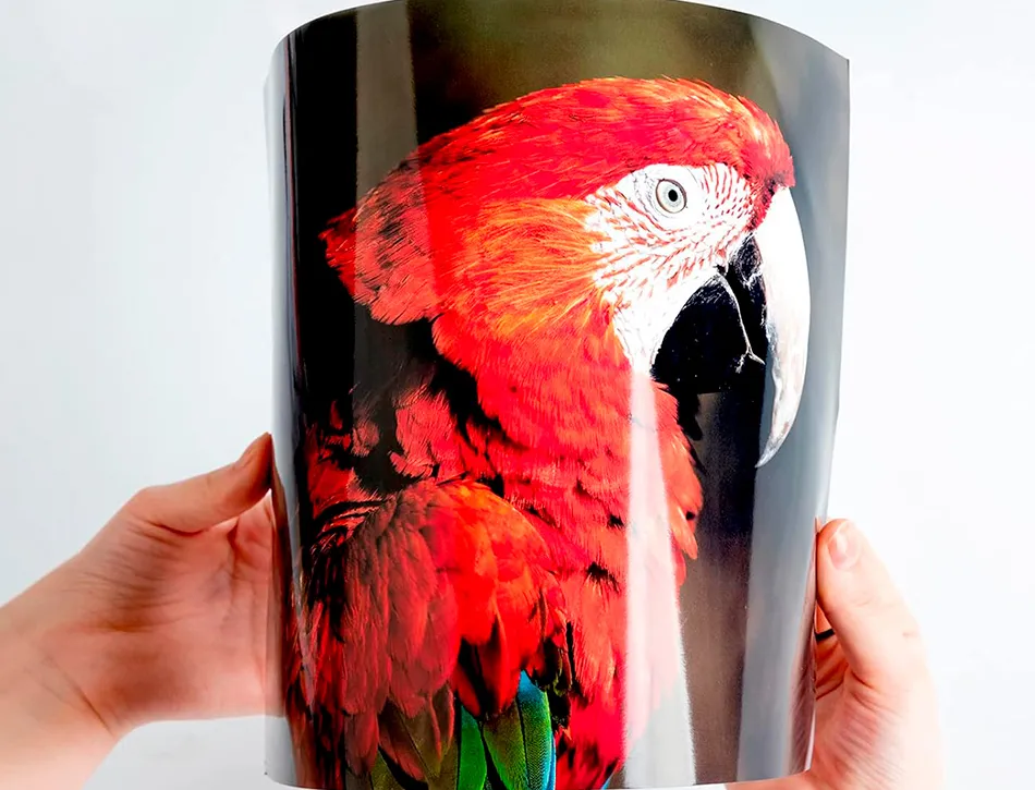 Papier photo q-connect jet d'encre glacé ultra brillant a4 260g compatible toute imprima nte paquet 50 feuilles