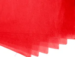 Papier soie liderpapel 52x76cm présentoir 60 sachets 5f 12 coloris assortis