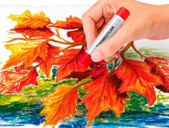 Pastels a l'huile staedtler 2420 design journey assortis - lot de 12 etuis carton de 24 un