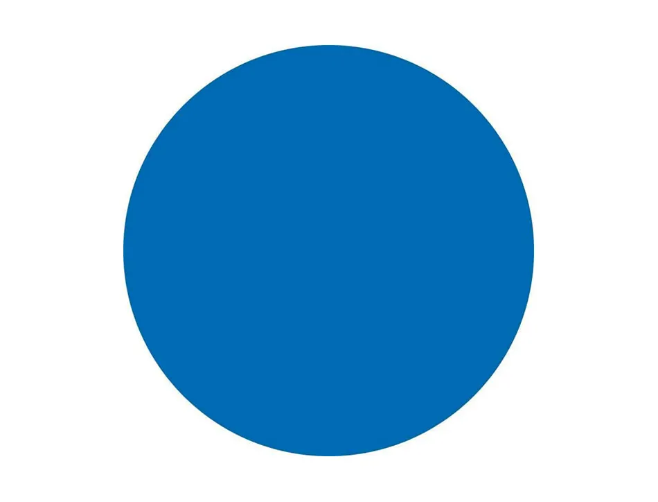 Pastille adhesive liderpapel diametre 10,5mm coloris bleu rouleau 6000 unites boite carton