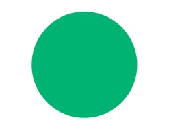 Pastille adhesive liderpapel diametre 10,5mm coloris vert rouleau 6000 unites boite carton