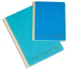 Piqure exacompta recettes-depenses a4 80 pages coloris assortis