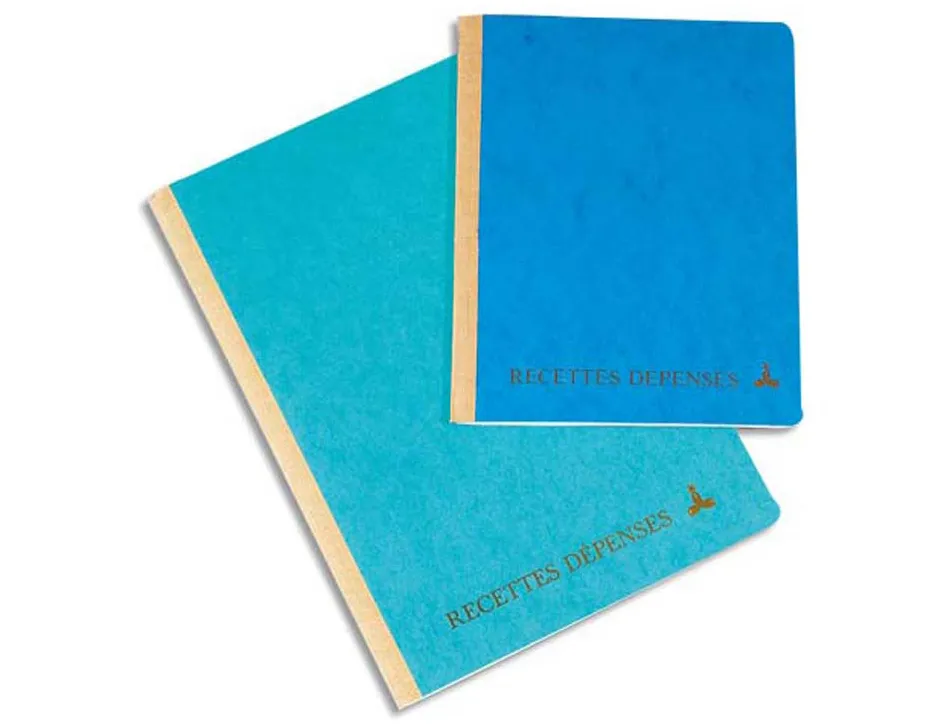Piqure exacompta recettes-depenses a4 80 pages coloris assortis