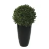 Plante buis boule maxifleur deluxe plastique qualité casi naturelle déco intérieur extérieur hauteur diamètre 50cm vert