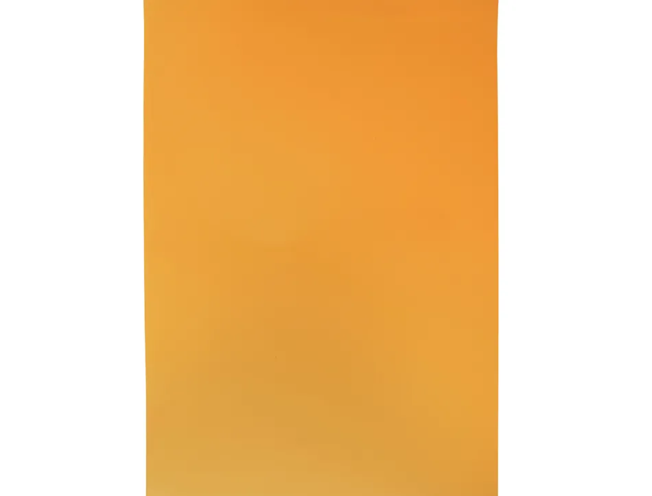 Plaque mousse liderpapel 50x70cm 60g/m2 épaisseur 1.5mm unicolore orange fluorescent