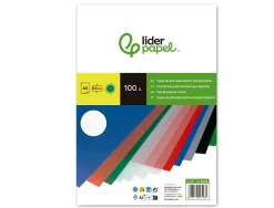 Plat couverture liderpapel ppl rayé lignes diagonales 0.5mm a4 dossier reliure coloris vert boîte 100 unités